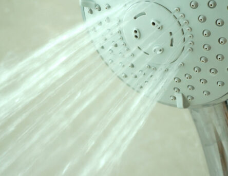 shower head legionella risk assessment training