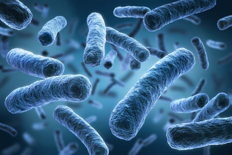 Legionella in Scotland: Ensure your compliance with health and safety