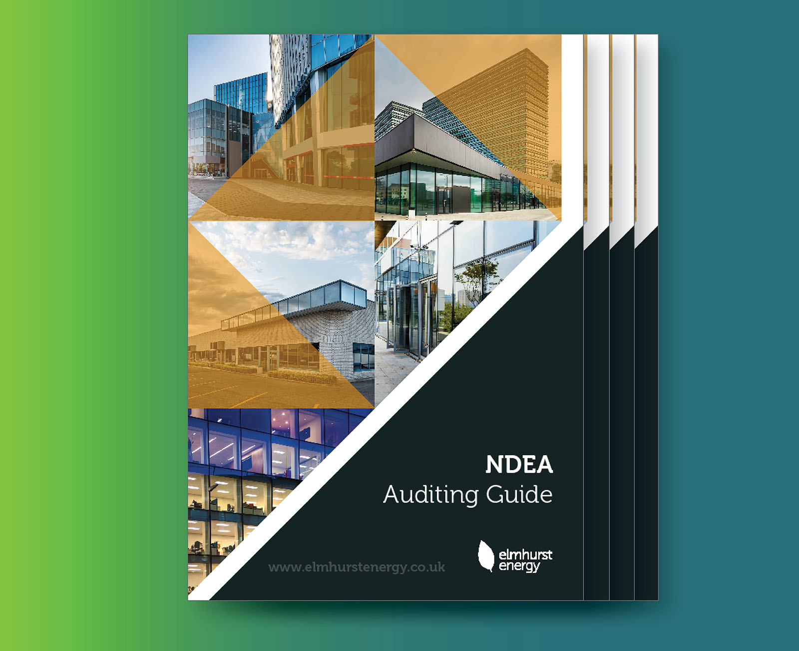 ndea-auditing-guide