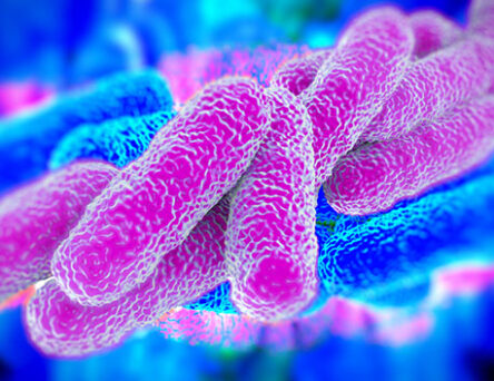 legionella and property inventory - a career in domestic energy assessment