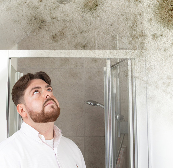 damp and mould article mixed content