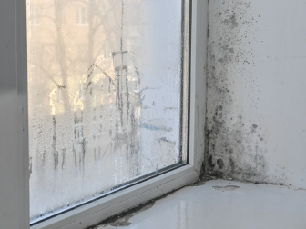 damp and mould assessments