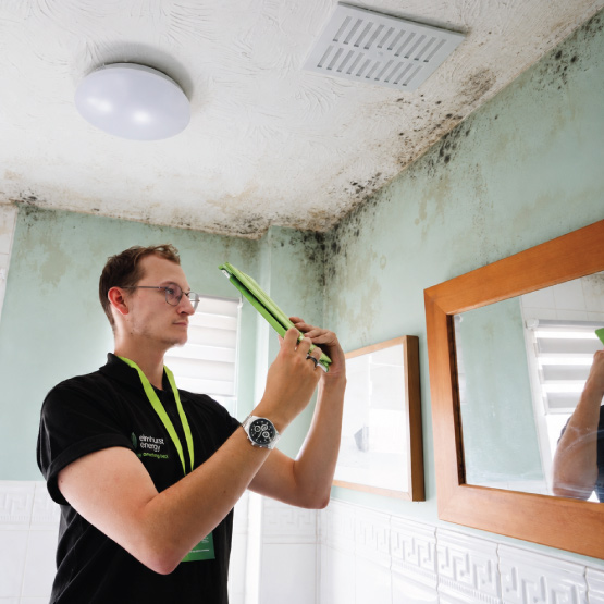 Damp and Mould